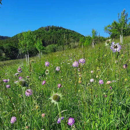 Im Eyachtal Apartamento